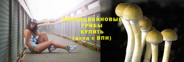 mdpv Алексин