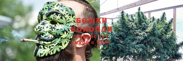 соль курить ск Алексеевка